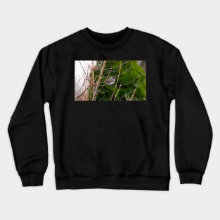 Dark-eyed Junco Perched On A Small Branch Crewneck Sweatshirt